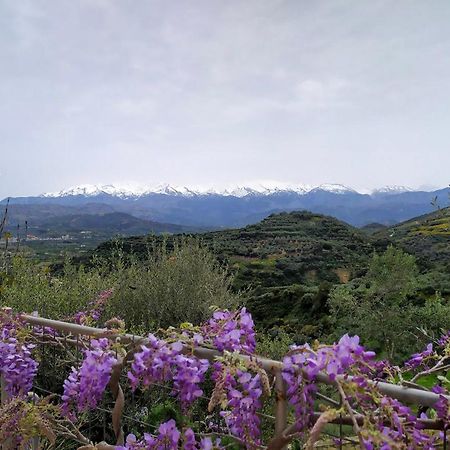 Villa Orgoni Patellari Esterno foto