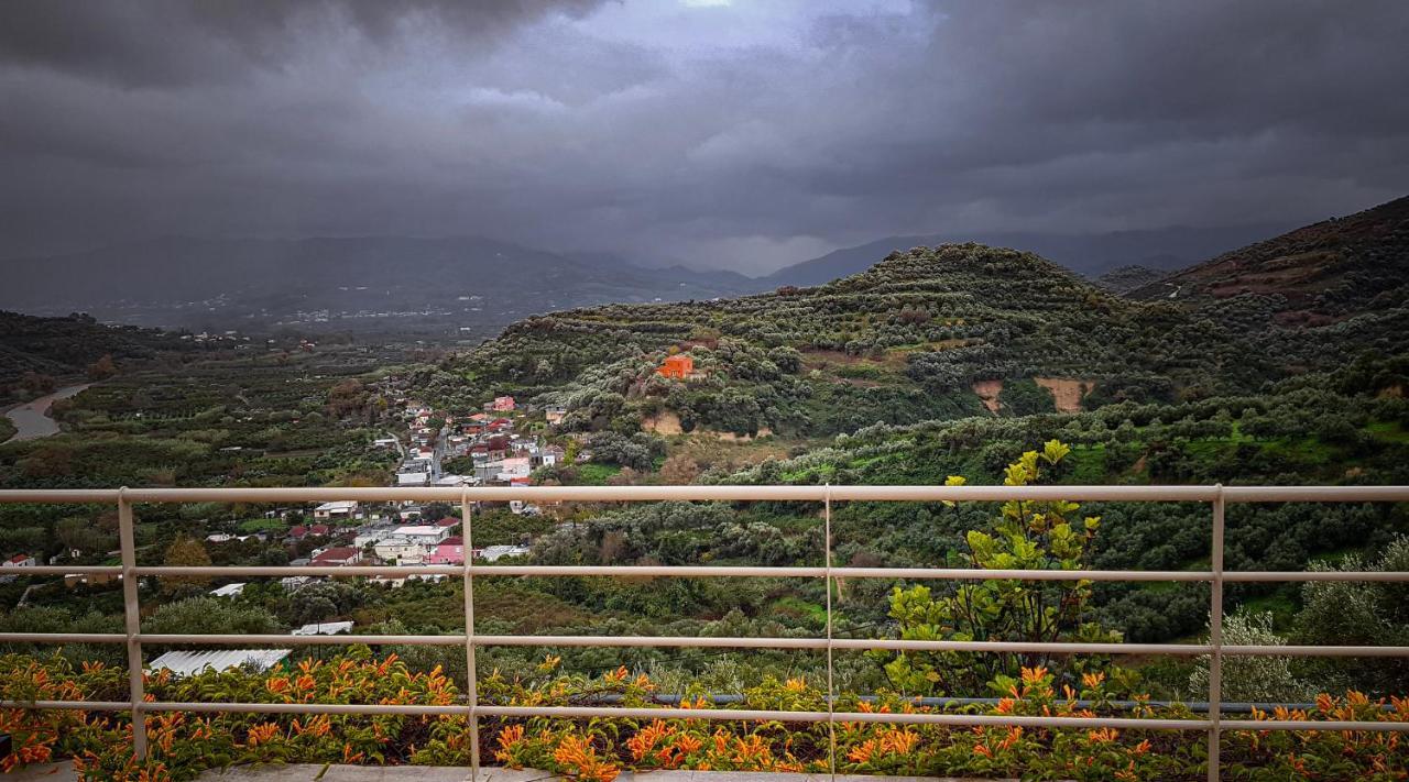 Villa Orgoni Patellari Esterno foto