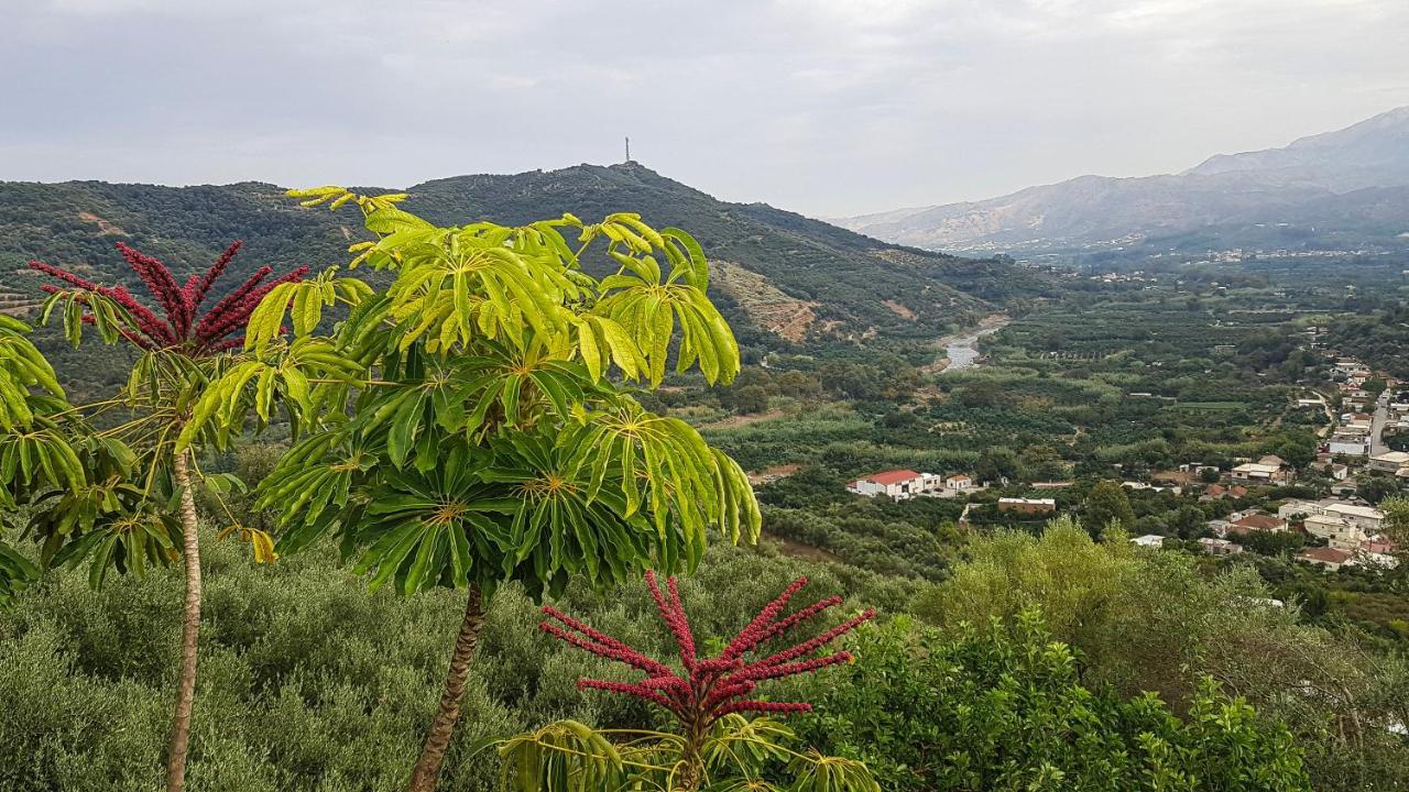 Villa Orgoni Patellari Esterno foto