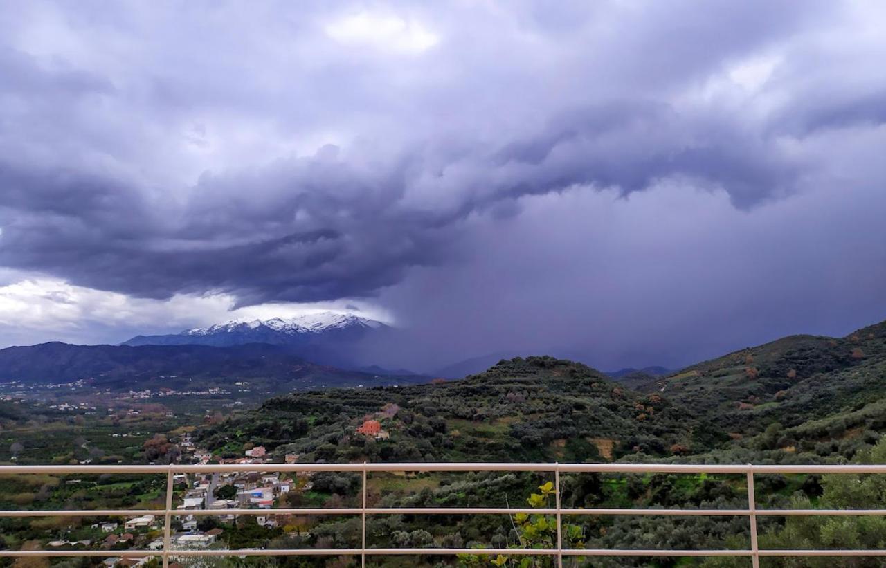 Villa Orgoni Patellari Esterno foto