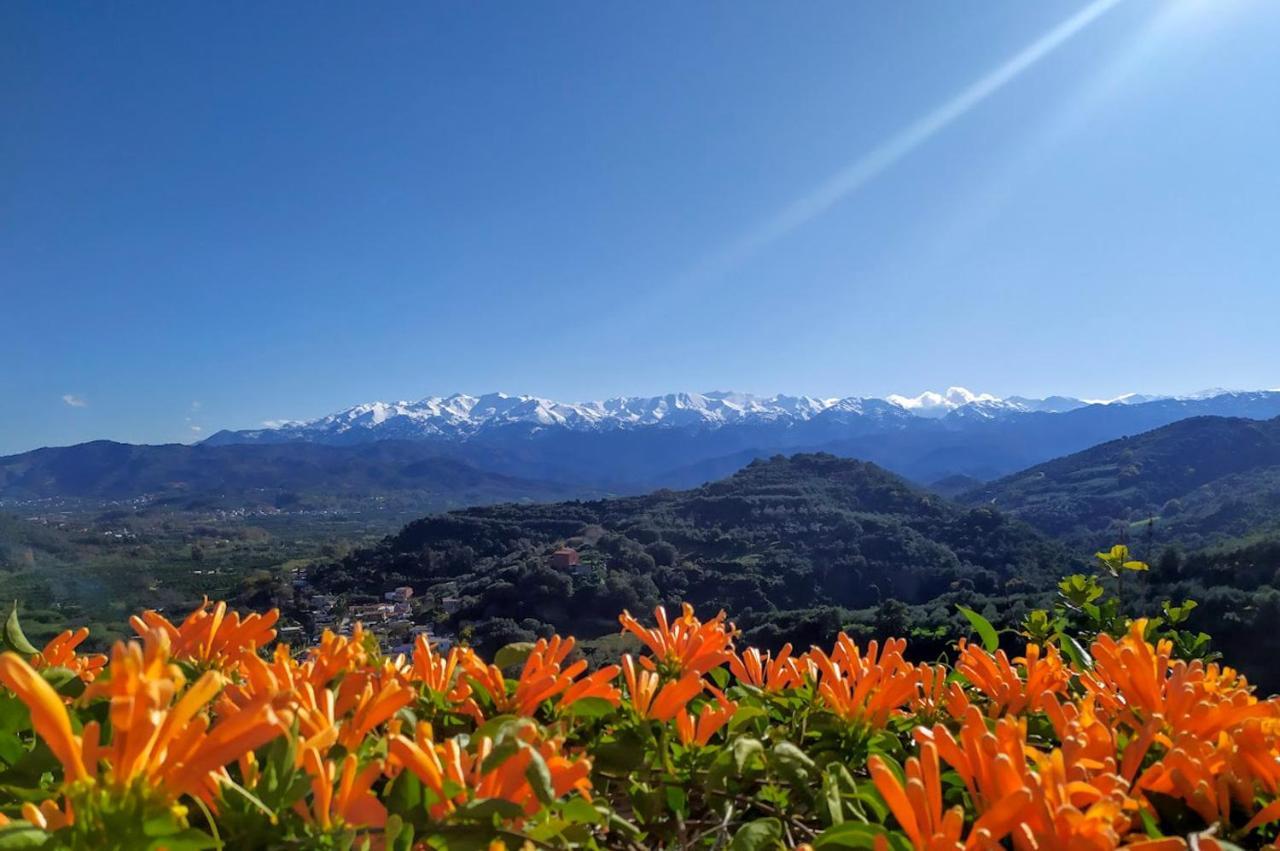 Villa Orgoni Patellari Esterno foto